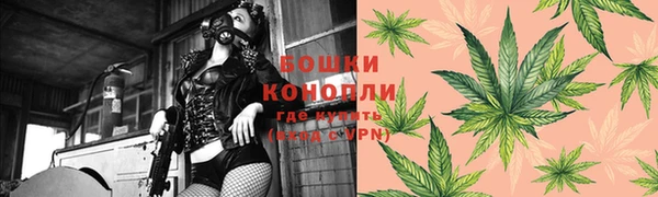 мдпв Переславль-Залесский