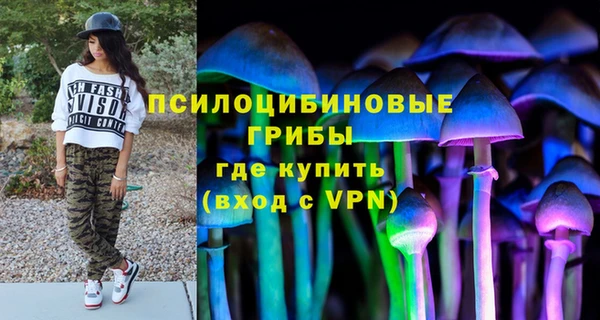 прущий лед Пестово