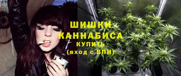 мдпв Переславль-Залесский