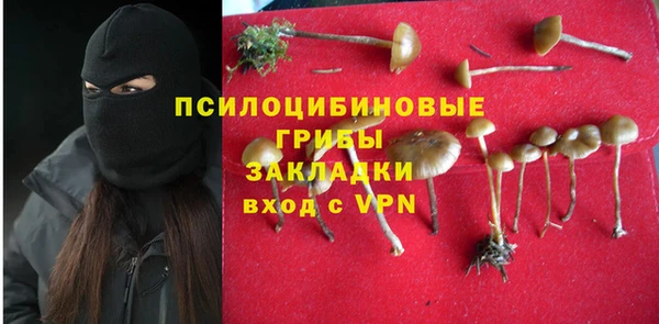 прущий лед Пестово