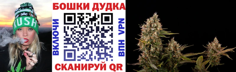 МЕГА как зайти  наркотики  Спас-Клепики  Бошки марихуана план 